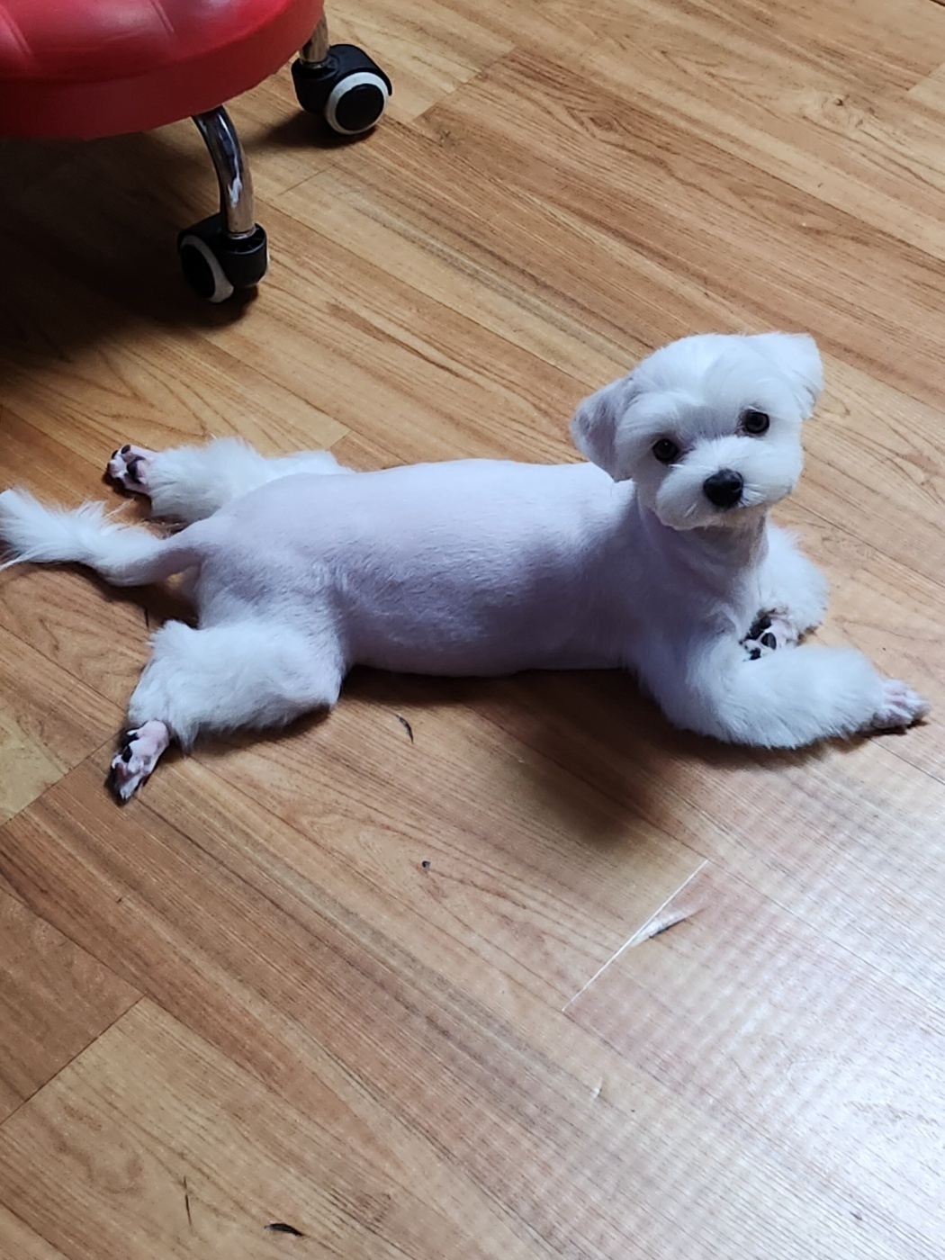 이미지