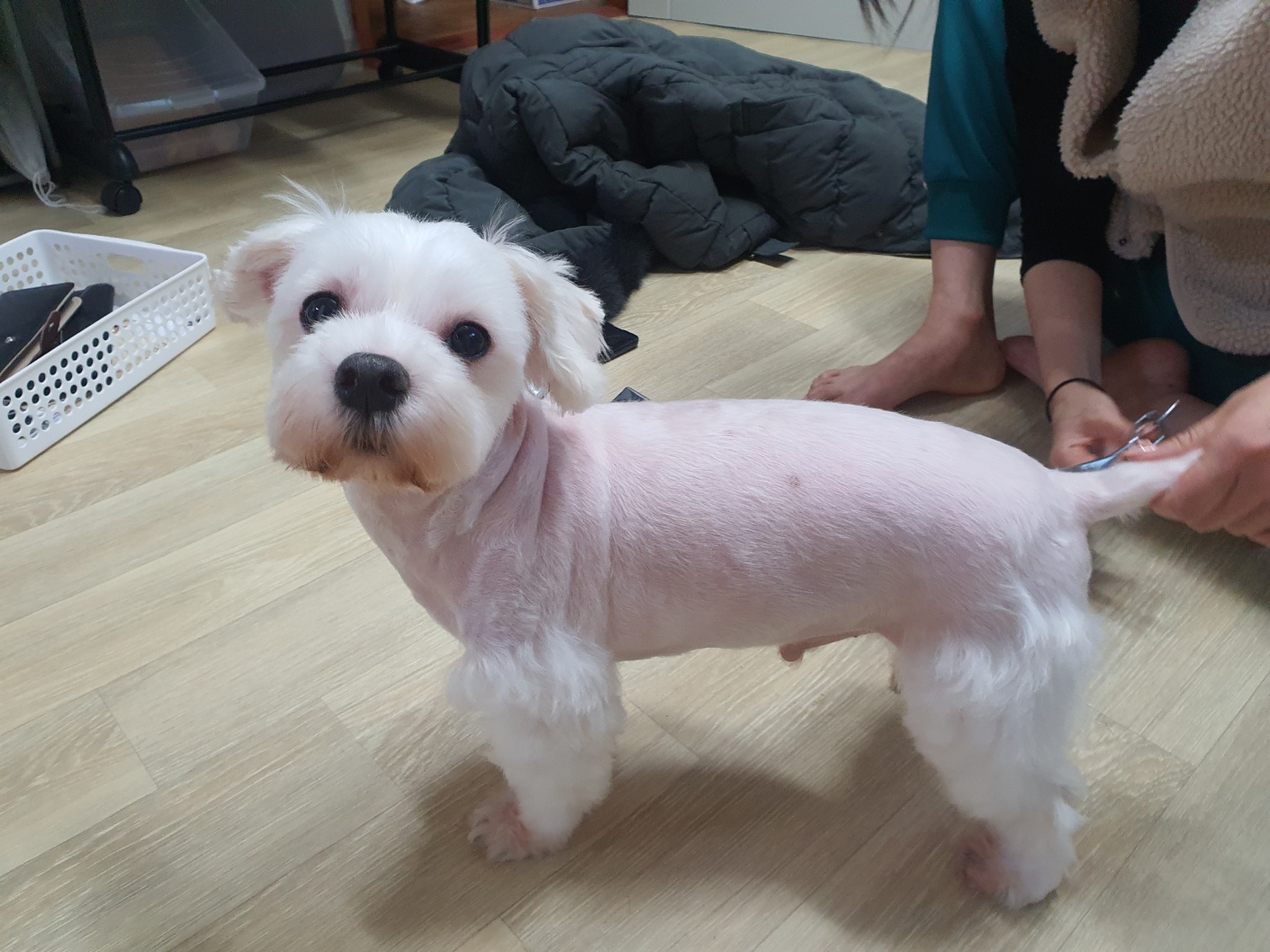이미지